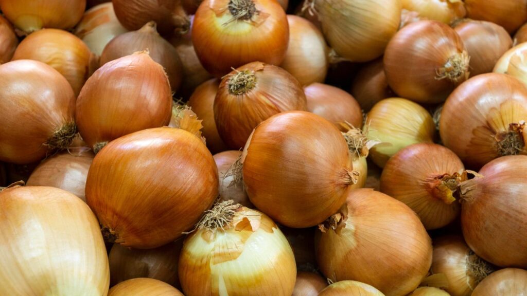 onion mandi rate