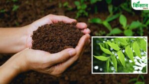 जहां सूख गई थीं उम्मीदें, वहां भानुमति ने उगाई हरियाली! जानें महिला किसान की प्रेरणादायक कहानी