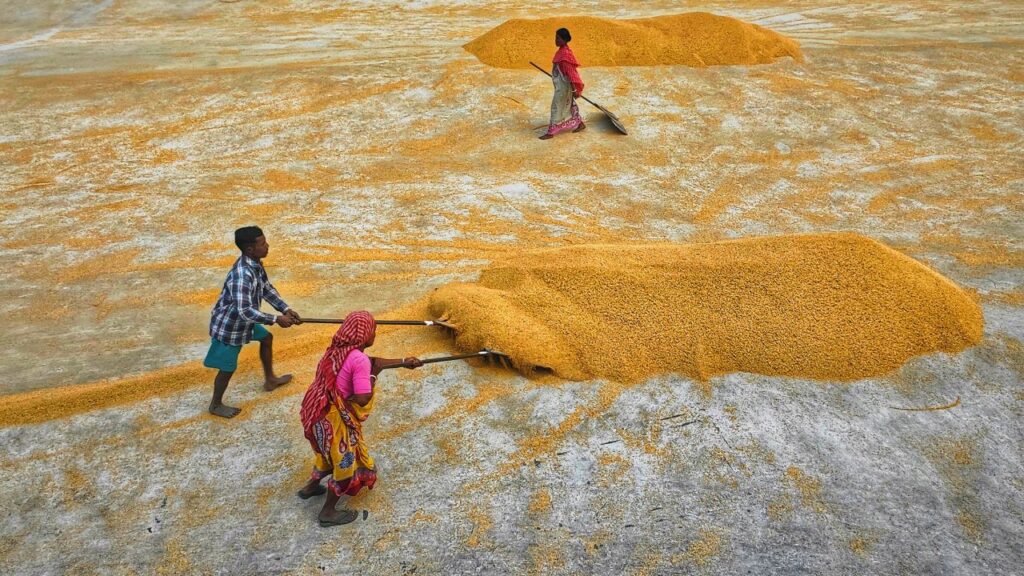 pm kisan