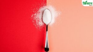 देश में चुनौतियों से घिरी है चीनी इंडस्ट्री, इससे निकलने का रास्ता है MSP में बढ़ोतरी