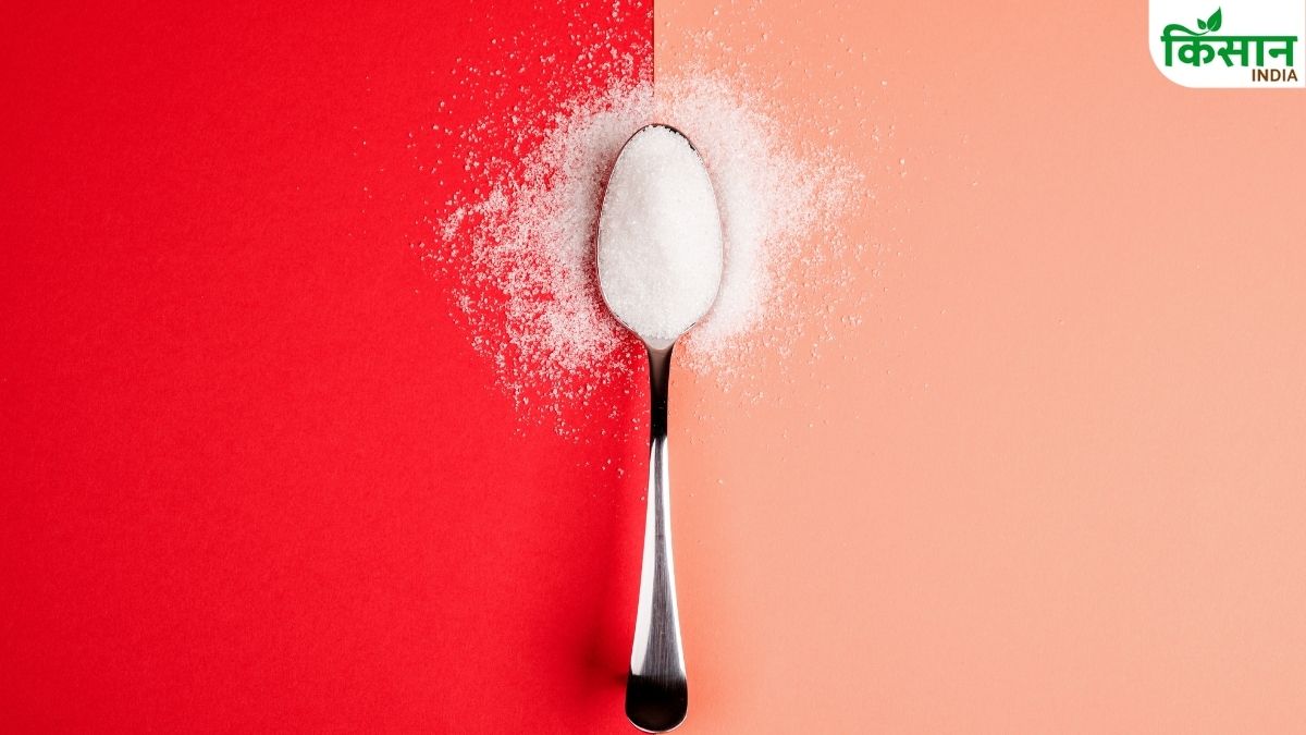 Sugar Industry Surrounded By Many Challenges Isma Suggest Ways To Out Of It Check Details