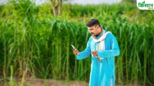 गन्ना किसानों के लिए वरदान बने ये मोबाइल ऐप्स, खेती को बना रहे हैं स्मार्ट और फायदेमंद