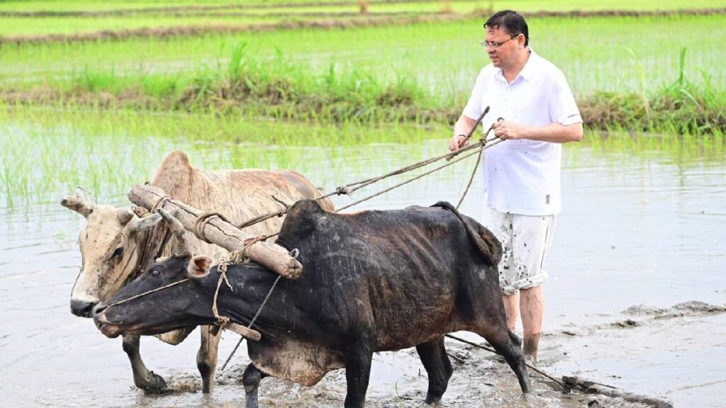 Uttarakhand CM Pushkar Singh Dhami farming