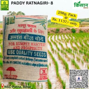 National Seed Corporation