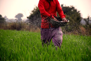 agricultural-reforms-