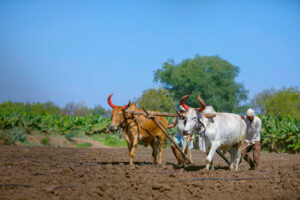 agricultural-reforms-