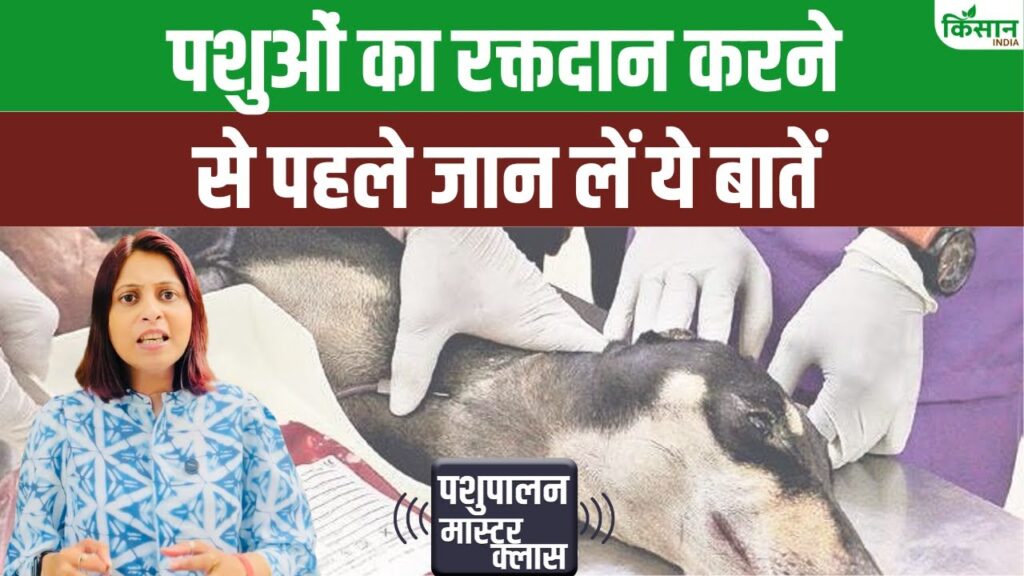 Animal Husbandry