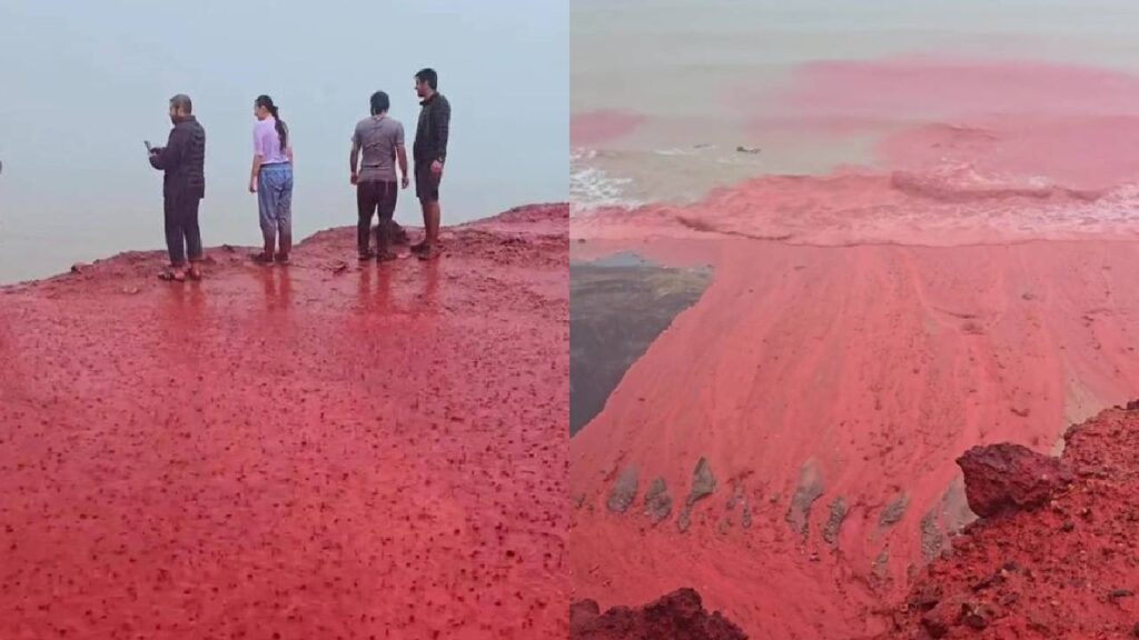 Blood Rain Explained: How and Why This Rare Phenomenon Happens