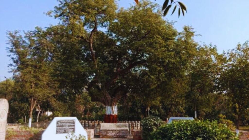 स्थान और पहचान: यह इमली का पेड़ उत्तर प्रदेश के फतेहपुर जिले, बिंदकी तहसील के खजुआ कस्बे के पास स्थित है. आज इसे शहीद स्मारक के रूप में संरक्षित किया गया है. स्थान और पहचान: यह इमली का पेड़ उत्तर प्रदेश के फतेहपुर जिले, बिंदकी तहसील के खजुआ कस्बे के पास स्थित है. आज इसे शहीद स्मारक के रूप में संरक्षित किया गया है.