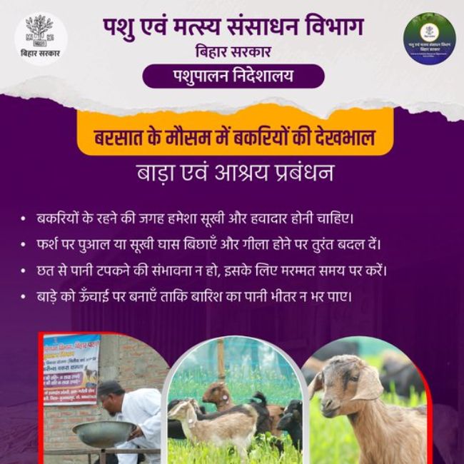 Bihar News