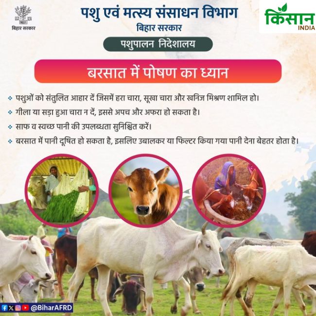 Animal Husbandry