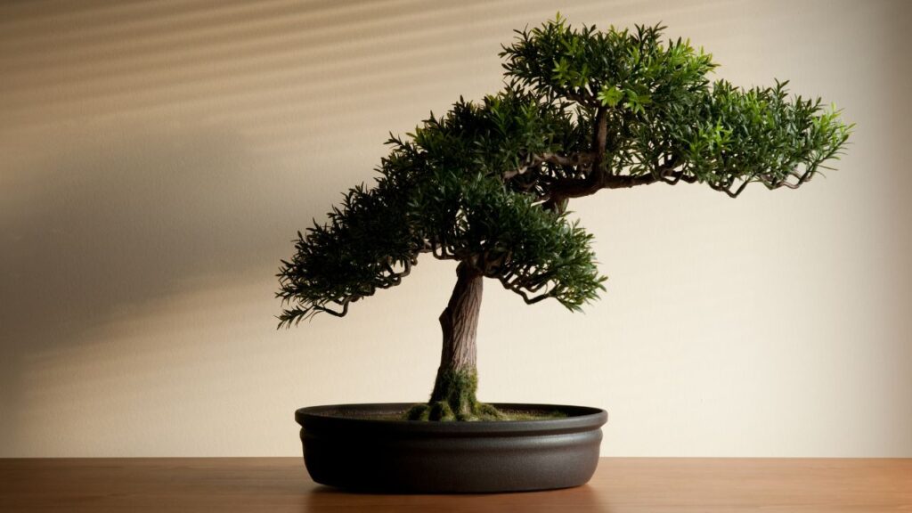 Thinking of Growing a Bonsai at Home? Know the Challenges and Care Tips Before You Start