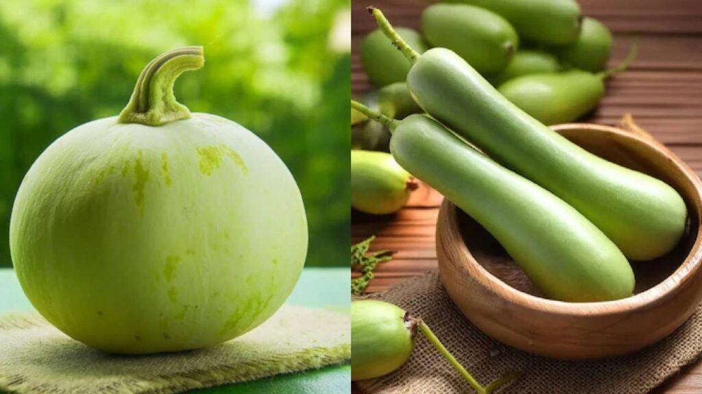 Long vs Round Bottle Gourd: Which Variety is Best for Farming?