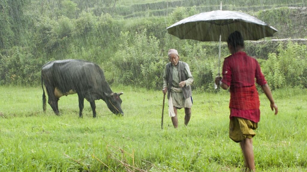 Heavy Rain Lashes Uttarakhand to Bihar, IMD Issues Alert for Multiple States Including Delhi-NCR