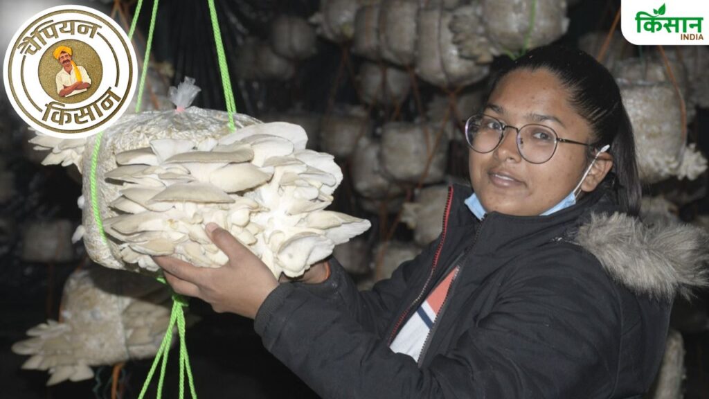 Mushroom Farming