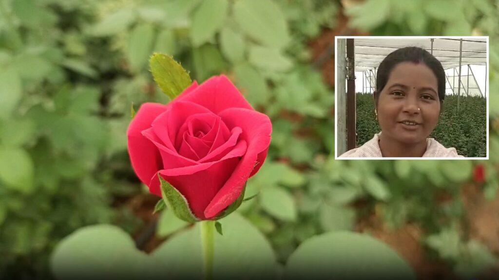 Chhattisgarh Korba rose farmer rajani kanwar