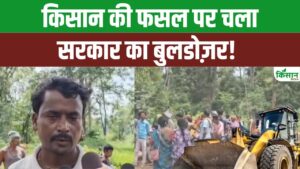 वन विभाग ने खड़ी फसल पर बोल दिया धावा, फसल बर्बाद, किसान का हाल बेहाल