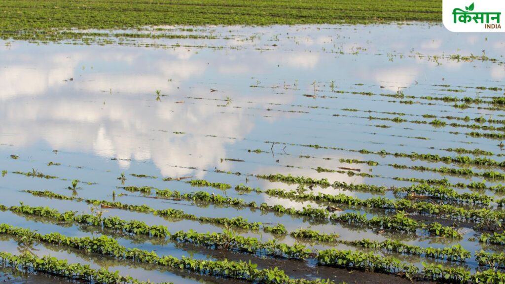 PM Crop Insurance Scheme