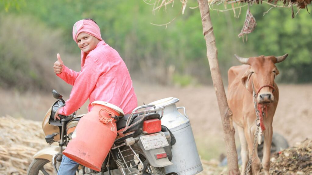 Dairy Plants Himachal Pradesh