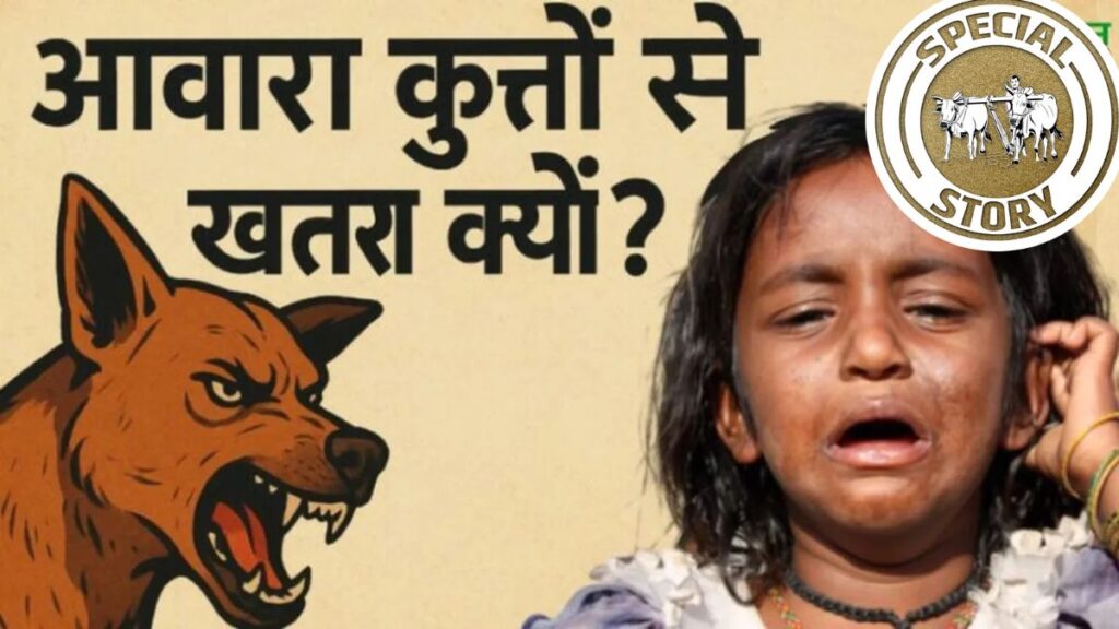 Stray Dogs Worldwide: Rules, Regulations, and India’s Situation