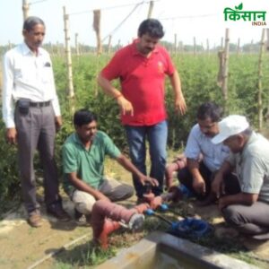 Uttar Pradesh News