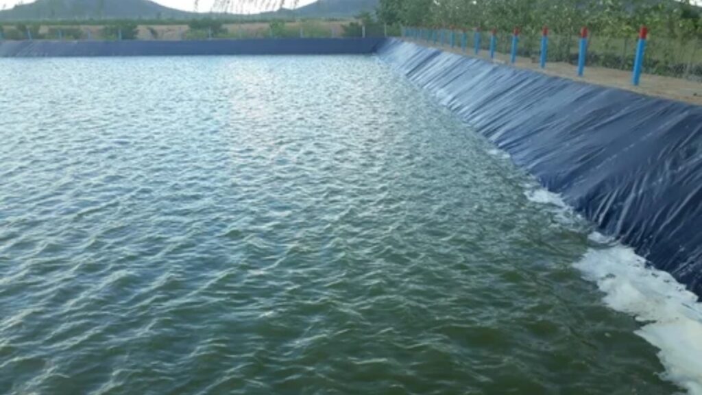 Farm Pond Subsidy