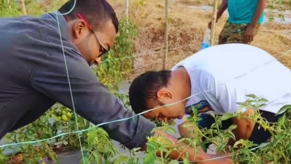 महेंद्र सिंह धोनी का रांची स्थित फार्म हाउस करीब 44 एकड़ में फैला हुआ है. यहां तकरीबन 150 से 200 लोग रोजाना काम करते हैं. क्रिकेट के मैदान पर अपने फैसलों से सबको चौंकाने वाले धोनी खेती के मैदान में भी लोगों को प्रेरित कर रहे हैं.