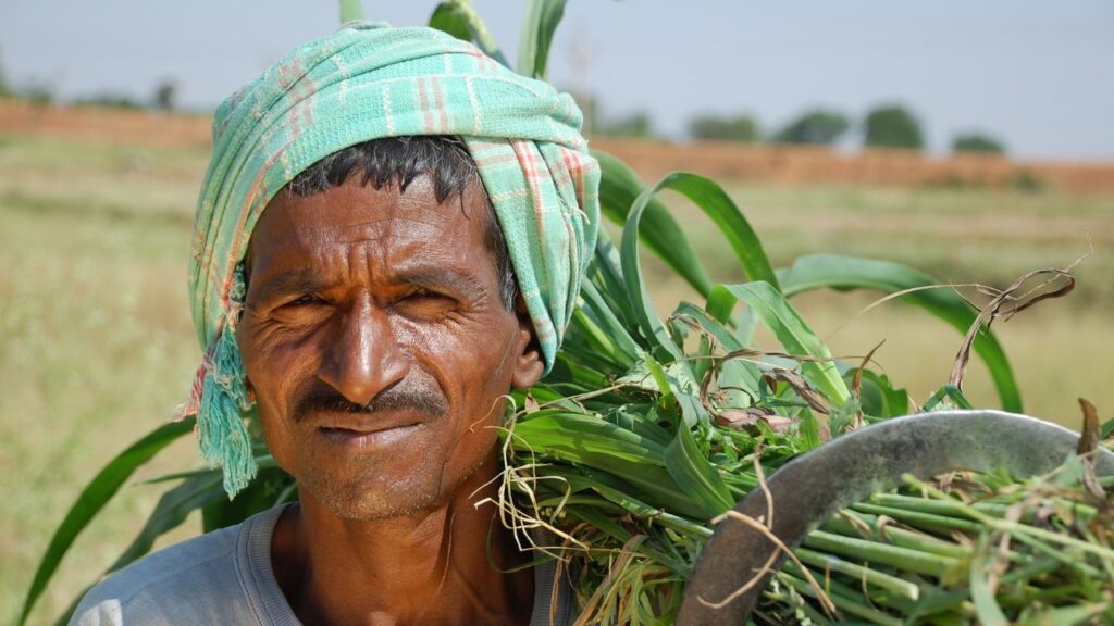इस योजना में खरीफ सीजन की करीब 10 बड़ी फसलें आती हैं. इनमें धान, मक्का, बाजरा, ज्वार, उड़द, मूंग, तिल, मूंगफली, सोयाबीन और अरहर जैसी फसलें शामिल हैं, जिन्हें किसान अक्सर बड़े पैमाने पर उगाते हैं. इस योजना में खरीफ सीजन की करीब 10 बड़ी फसलें आती हैं. इनमें धान, मक्का, बाजरा, ज्वार, उड़द, मूंग, तिल, मूंगफली, सोयाबीन और अरहर जैसी फसलें शामिल हैं, जिन्हें किसान अक्सर बड़े पैमाने पर उगाते हैं.
