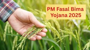 PM Fasal Bima Yojana 2025: 30 लाख किसानों के खाते में 3200 करोड़ रुपये ट्रांसफर, ऐसे करें अपना क्लेम चेक