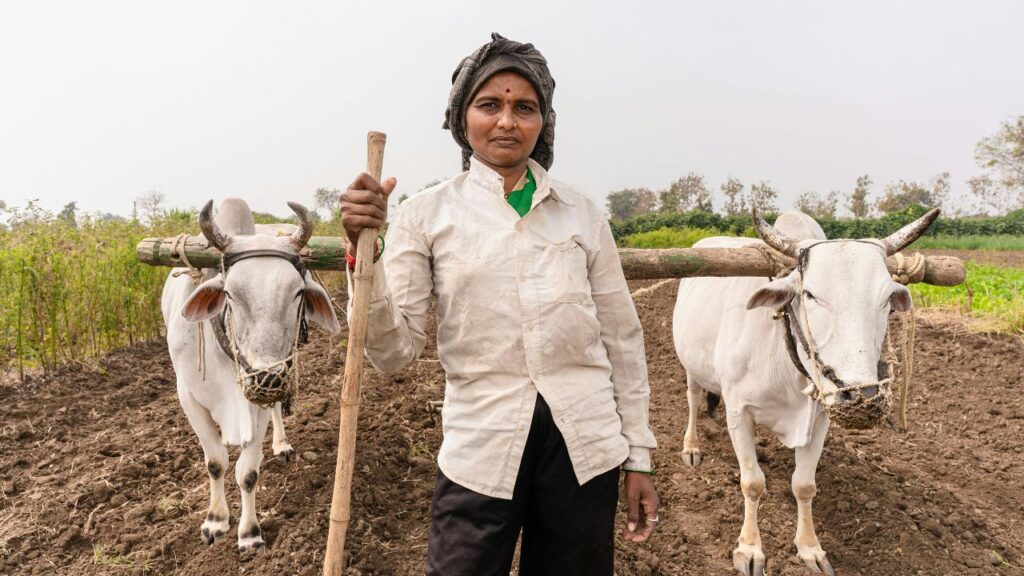 आज यानी 11 अगस्त को केंद्रीय कृषि मंत्री शिवराज सिंह चौहान ने झुंझुनूं से वर्चुअल समारोह के माध्यम से डीबीटी (डायरेक्ट बेनिफिट ट्रांसफर) के जरिए किसानों के खाते में राशि ट्रांसफर की, जिससे मुआवजा सीधे किसानों तक पहुंचा. आज यानी 11 अगस्त को केंद्रीय कृषि मंत्री शिवराज सिंह चौहान ने झुंझुनूं से वर्चुअल समारोह के माध्यम से डीबीटी (डायरेक्ट बेनिफिट ट्रांसफर) के जरिए किसानों के खाते में राशि ट्रांसफर की, जिससे मुआवजा सीधे किसानों तक पहुंचा.