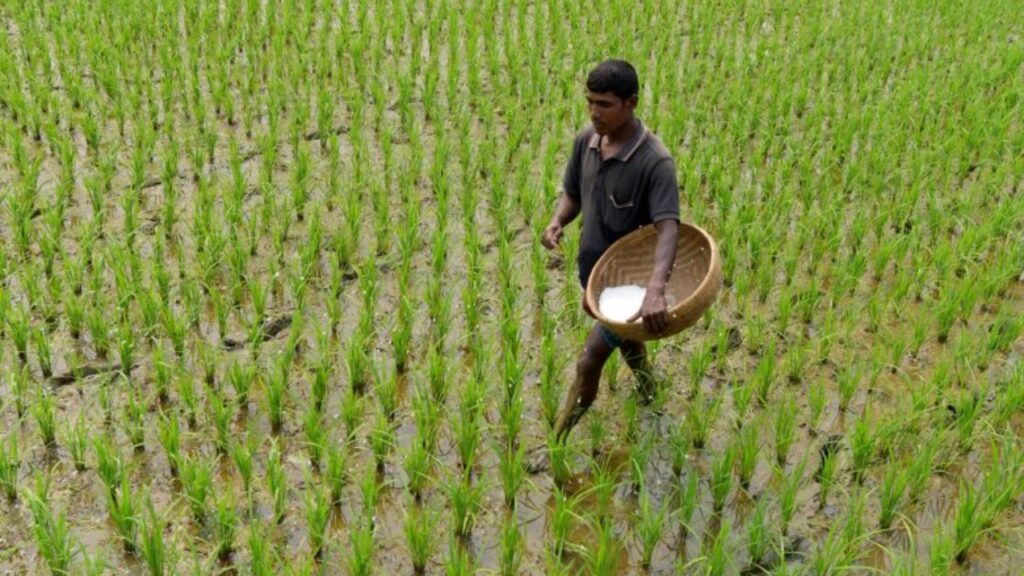 TNAU Secures Patent for Eco-Friendly Chelated Zinc Fertiliser, Promising Major Boost to Crop Nutrition