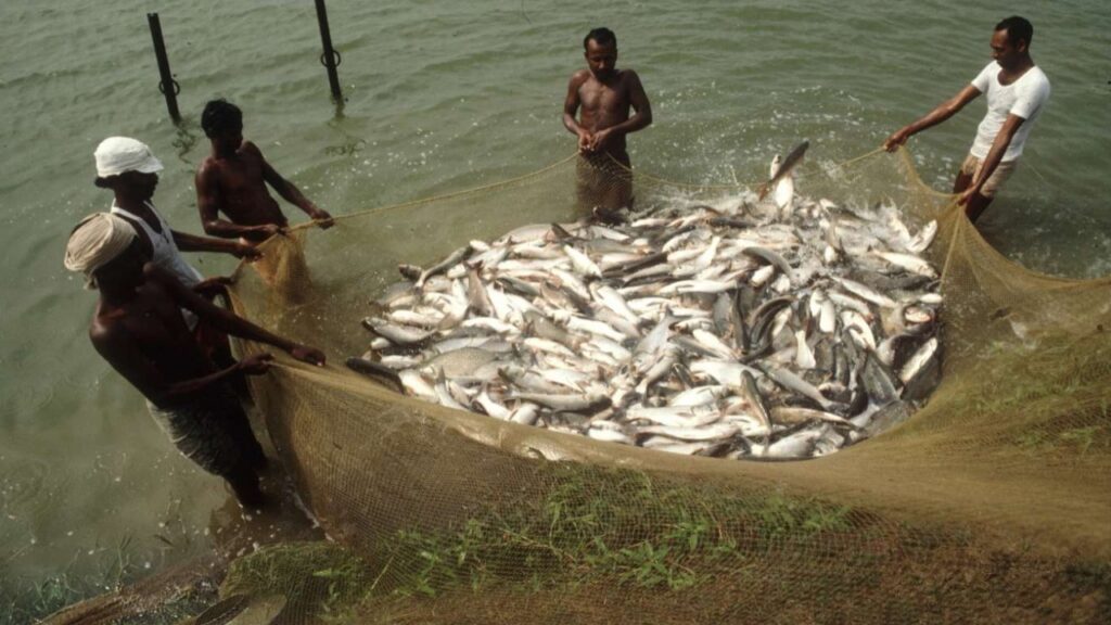 Fisheries
