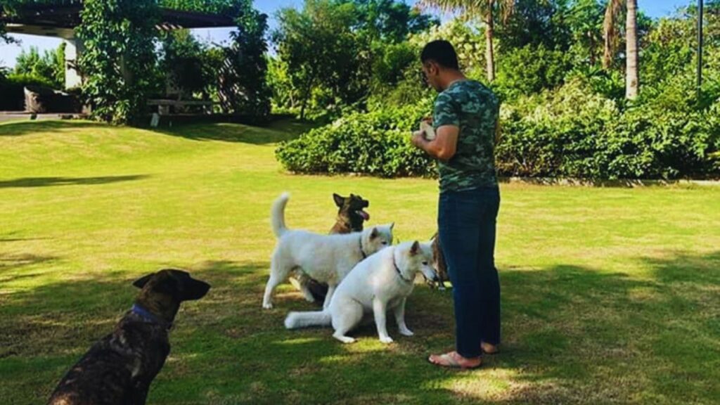 धोनी के फार्म हाउस की सबसे खास बात यह है कि यहां किसी भी प्रकार की केमिकल खाद या कीटनाशकों का इस्तेमाल नहीं होता. फार्म हाउस में ही जैविक खाद, जीवामृत और केंचुआ खाद तैयार की जाती है, जिससे न सिर्फ मिट्टी की उर्वरता बढ़ती है, बल्कि फल और सब्जियां भी पूरी तरह से सुरक्षित और पोषणयुक्त होती हैं.