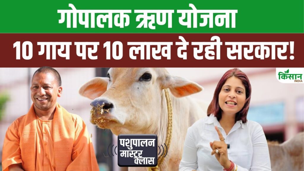 Uttar Pradesh News