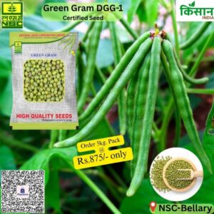 National Seed Corporation