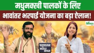 मधुमक्खी पालकों के लिए हरियाणा सरकार का बड़ा कदम, शहद को मिलेगा भावांतर भरपाई का सुरक्षा कवच