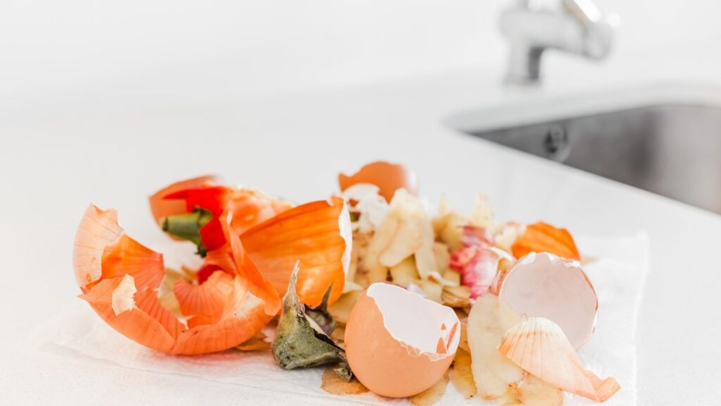 रसोई का कचरा जैसे चाय पत्ती या फलों के छिलके सीधे मिट्टी में डालने से कीड़े लग सकते हैं. इसलिए इन्हें पहले धूप में सुखाना जरूरी है. सुखाने के बाद ही जब आप इन्हें मिट्टी में मिलाते हैं, तो खाद जल्दी असर करती है और पौधों को फायदा मिलता है.