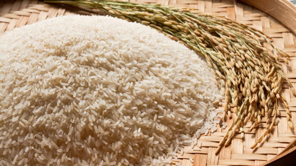 India Sitting on 30 Million Tonnes of Old Rice for Over 3 Years, Traders Raise Concerns