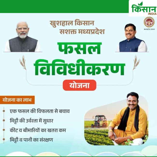 Madhya Pradesh News