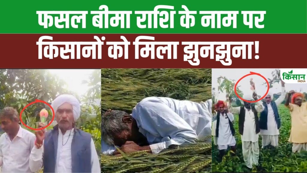 Madhya Pradesh News