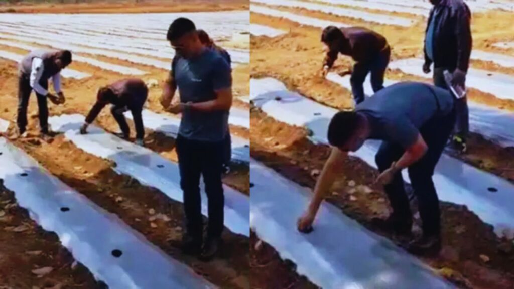 Nishadraj Boat Scheme (FREEPIK)