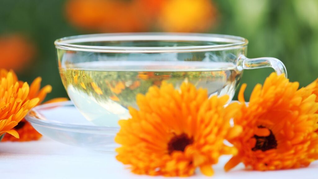 गेंदे के फूल से बनी चाय में मौजूद एंटी-इंफ्लेमेटरी गुण पाचन तंत्र को बेहतर करते हैं, जिससे कब्ज और पेट दर्द जैसी समस्याएं भी दूर होती हैं. रोजाना इसके रस का सेवन करने से बवासीर की गंभीरता कम हो सकती है.