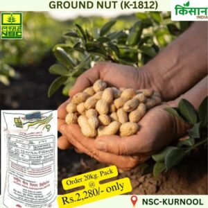 Groundnut K-1812