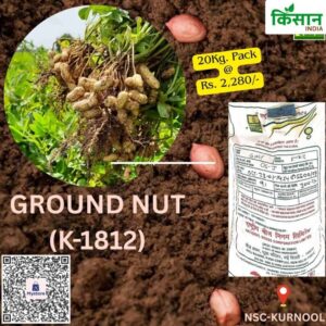 National Seed Corporation