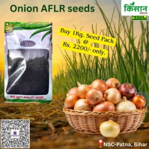 National Seed Corporation