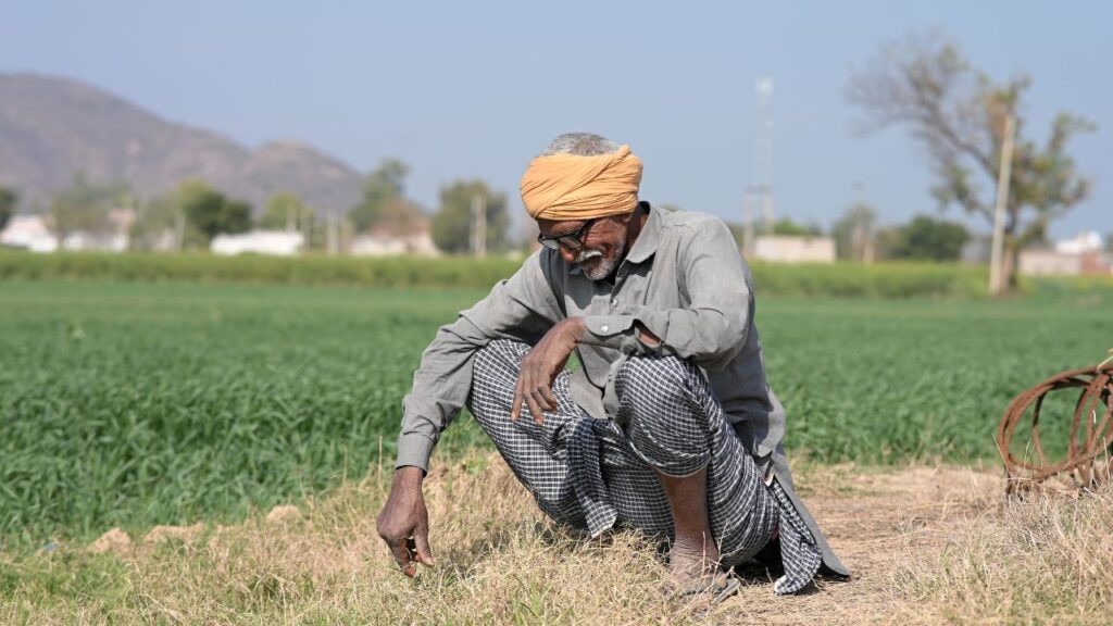 PM Fasal Bima Yojana AdobeStock