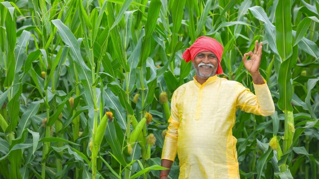 अगर किसी किसान को 20वीं किस्त नहीं मिली है, तो उन्हें पीएम किसान पोर्टल पर जाकर या नजदीकी CSC सेंटर में संपर्क कर अपना रिकॉर्ड वेरिफाई करवाना चाहिए.