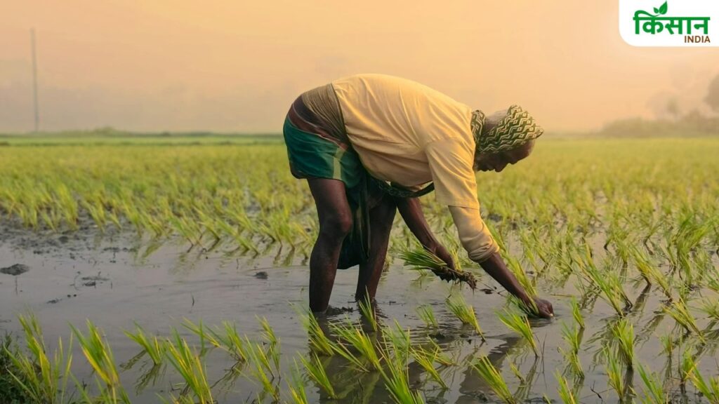 Crop Compensation