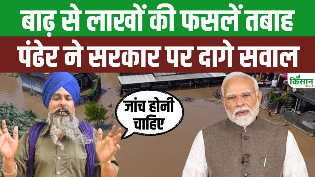 Punjab News