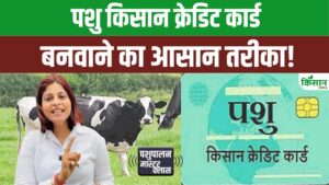 Pashu Kisan Credit Card: पशुपालकों के लिए बड़ी राहत, 3 फीसदी छूट पर मिलेगा 5 लाख तक लोन